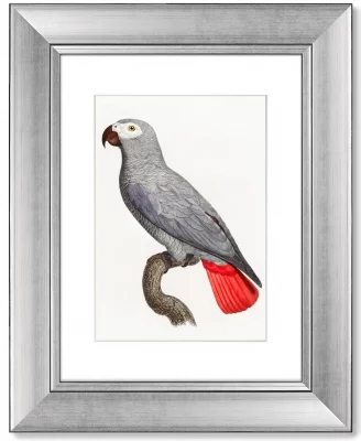 Диптих Beautiful parrots 41X51 / 41X51 CM 4