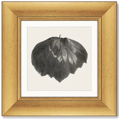 Набор из 4-х картин The Ivy leaves 36X36 / 36X36 / 36X36 / 36X36 CM 3