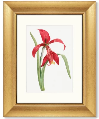 Диптих Antique plants drawn 41X51 / 41X51 CM 4