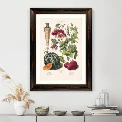 Постер Vilmorin Andrieux & Cie 61X81 CM 3