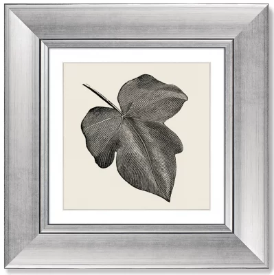 Диптих Rugosa from The Ivy 36X36 / 36X36 CM 4