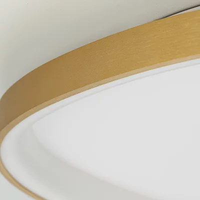 Потолочный светодиодный светильник Genka Smart 8