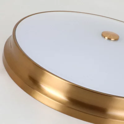 Накладной светильник Pannikin 6