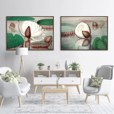 Постер Form of a gigantic water lily 105X75 CM 7