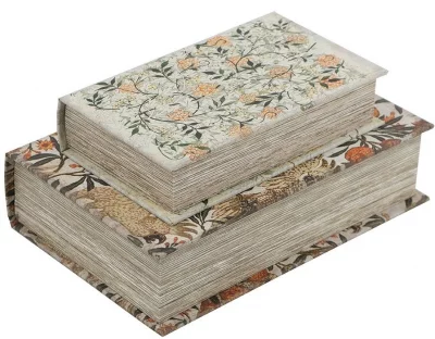 Набор из двух шкатулок в виде книг Danu 18X7X27 / 13X5X22 CM 6