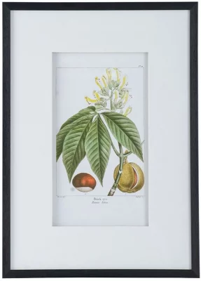 Комплект из двух постеров Flora 50X70 / 50X70 CM 12