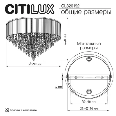 Накладная люстра Leonna 10