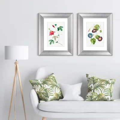 Диптих Antique plants drawn 41X51 / 41X51 CM 5