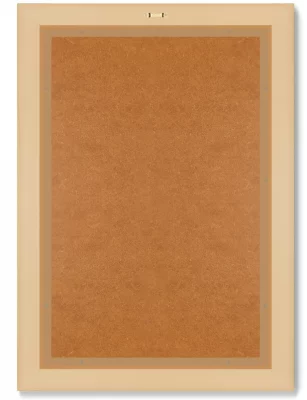 Диптих Semaphore Prickly Pear 51X71 / 51X71 CM 8