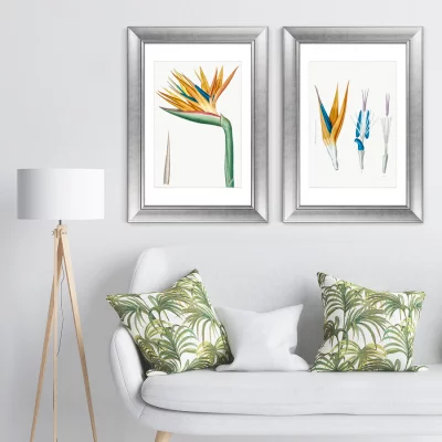 Диптих Les liliacées 51X71 / 51X71 CM 5
