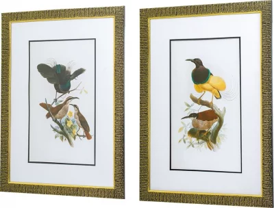 Комплект из двух постеров в раме Bird 50X70 / 50X70 CM 4
