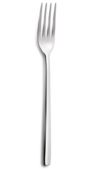 Вилка столовая Canada 20 CM 1