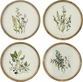 Постеры Flora Ø50 / Ø50 / Ø50 / Ø50 CM