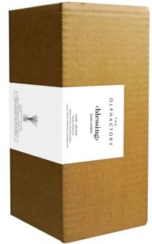 Диффузор ароматический The Olphactory Blessing Dark Amber 500 ml