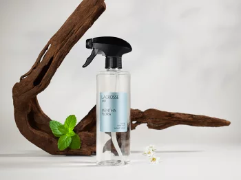 Спрей для дома Mentha Flora 500 ml