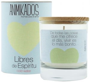 Свеча ароматическая Dream Catcher Cold Water 40 часов горения