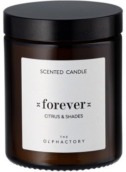 Свеча ароматическая The Olphactory Forever Citrus&Shades 30 часов горения