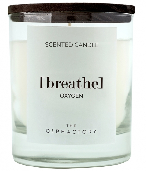Свеча ароматическая the Olphactory Breathe black Oxygen 40 часов горения 1