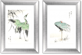 Набор из двух постеров в раме White-Naped Cranes 51X71 / 51X71 CM