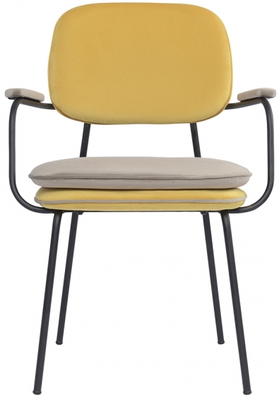 Стул с подлокотниками Pea 60X50X83 CM 2