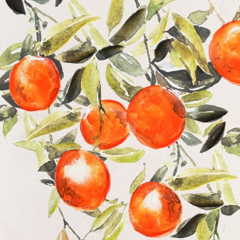 Постер Juicy Orange 70X100 CM
