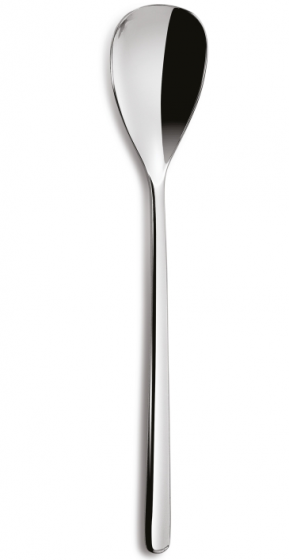 Ложка столовая Canada 21 CM 1