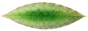 Тарелка Riviera Laurel leaf 18X6 CM