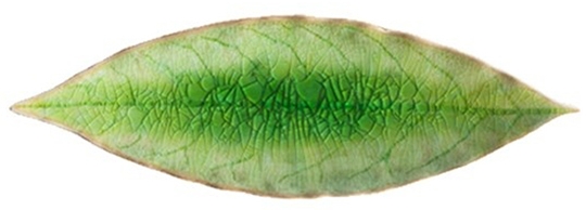 Тарелка Riviera Laurel leaf 18X6 CM 1