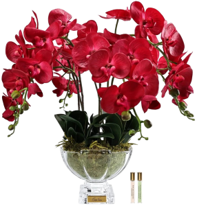 Букет аромадиффузор Luxury Orchid 50X50X60 CM