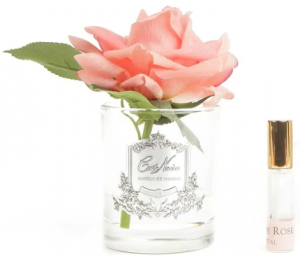 Ароматическая роза French Rose white peach 11X11X16 CM