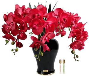 Букет аромадиффузор Imperial Orchid