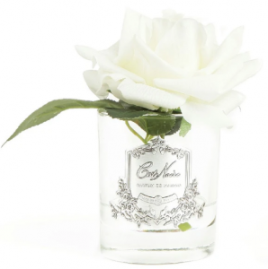 Ароматизированная роза French Rrose 11X11X16 CM