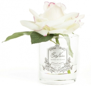 Ароматизированная роза French Rrose 11X11X16 CM