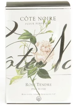 Ароматизированная роза French Rrose 11X11X16 CM