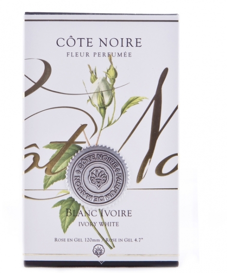 Ароматизированная роза Rose Bud ivory 8X8X14 CM 2