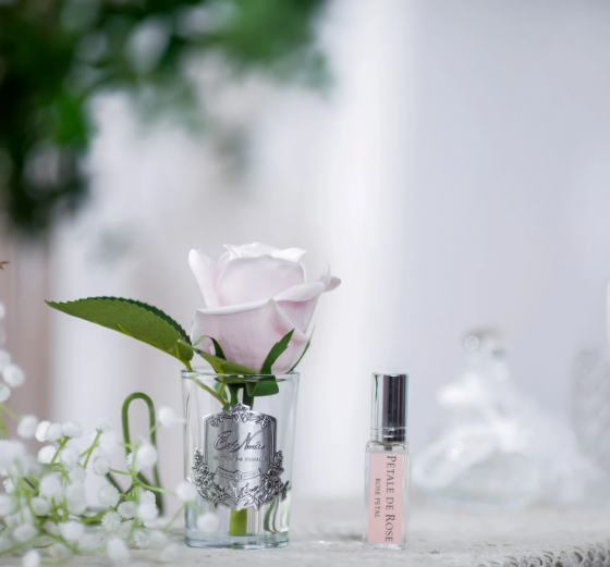 Ароматизированная роза Rose Bud 8X8X14 CM French Pink 3