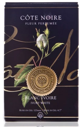 Ароматизированная роза Rose Bud 8X8X14 CM ivory 2