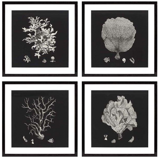 Постеры Black & Tan Corals 64X64 / 64X64 / 64X64 / 64X64 CM 1