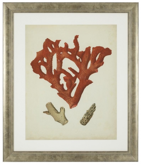 Постеры Antique Red Corals 68X58 / 68X58 / 68X58 / 68X58 / 68X58 / 68X58 CM 4