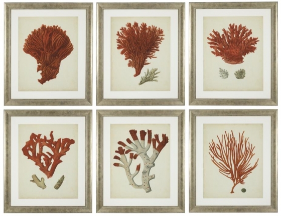 Постеры Antique Red Corals 68X58 / 68X58 / 68X58 / 68X58 / 68X58 / 68X58 CM 1