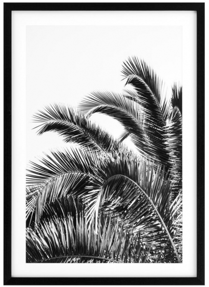 Постеры Palm Leaves 75X105 / 75X105 CM 2