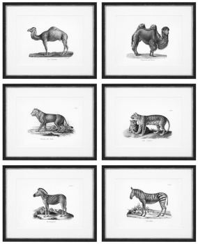 Постеры Historical Animals 54X44 / 54X44 / 54X44 / 54X44 / 54X44 / 54X44 CM