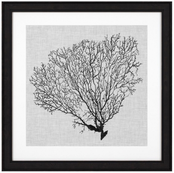 Постеры Shadow Sea Fans 62X62 / 62X62 / 62X62 / 62X62 CM