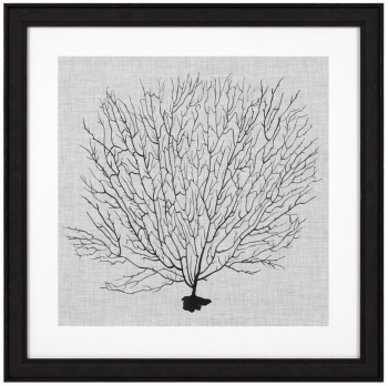 Постеры Shadow Sea Fans 62X62 / 62X62 / 62X62 / 62X62 CM