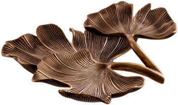 Декоративное блюдо Ginkgo 31X38X9 CM
