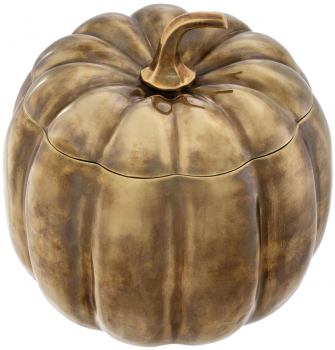 Декоративная ёмкость для хранения Pumpkin 22X22X22 CM
