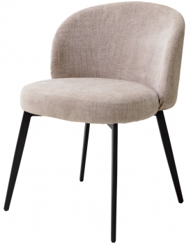 Комплект из двух стульев Lloyd 56X58X79 / 56X58X79 CM