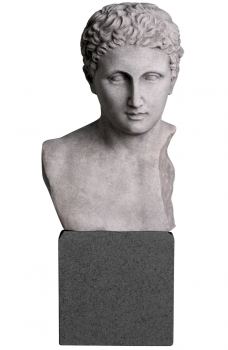 Статуя Bust Roman Imperial 19X15X49 CM