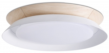 Потолочный светильник Tender LED 45X45X8 CM белый