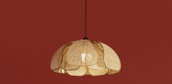 Подвесной светильник Cocoon черный, ротанг 13